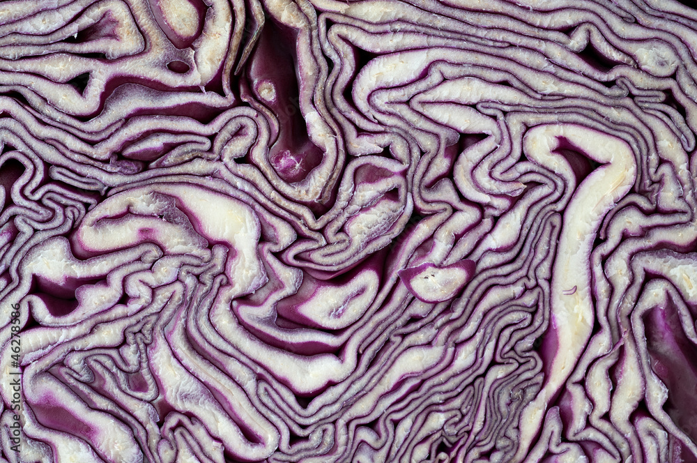 Red cabbage Red cabbage