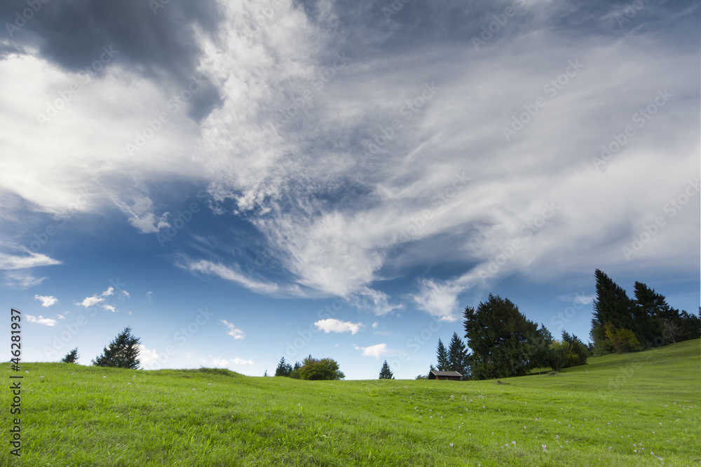idyllic mountain meadow with clouds and trees at autumn idyllic mountain meadow with clouds and trees at autumn