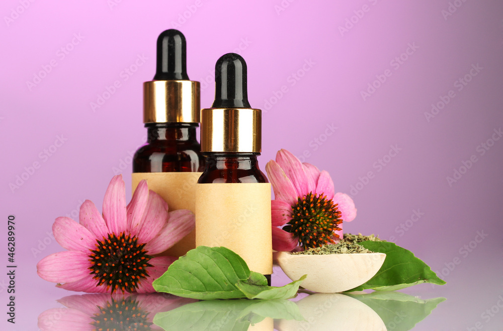 bottles with essence oil and purple echinacea, bottles with essence oil and purple echinacea,