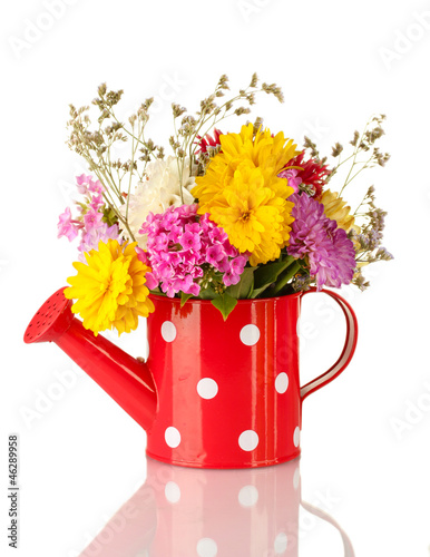 Red watering can with white polka-dot with flowers isolated