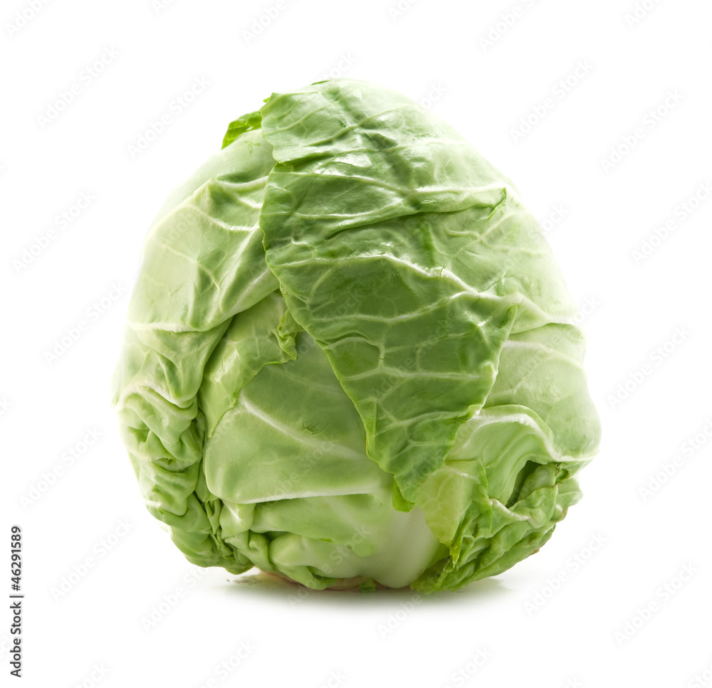 fresh cabbage isolated fresh cabbage isolated