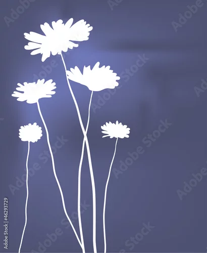 Obraz wektor białe rumianki