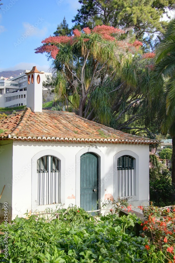 Fototapeta premium jardin à madere