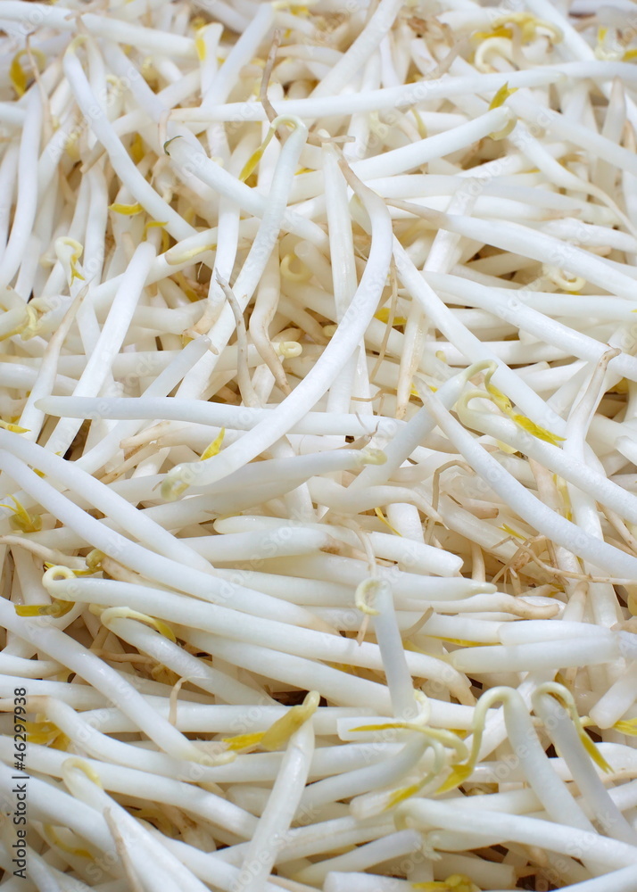 Bean sprouts Bean sprouts