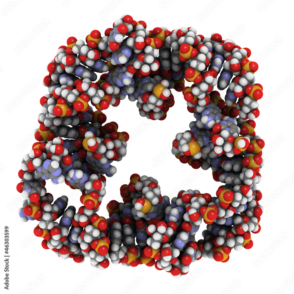 Chemical structure of a RNA nanosquare. This nanoobject is compo Stock ...