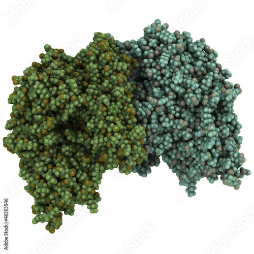 Prostate-specific membrane antigen (PSMA), chemical structure photo