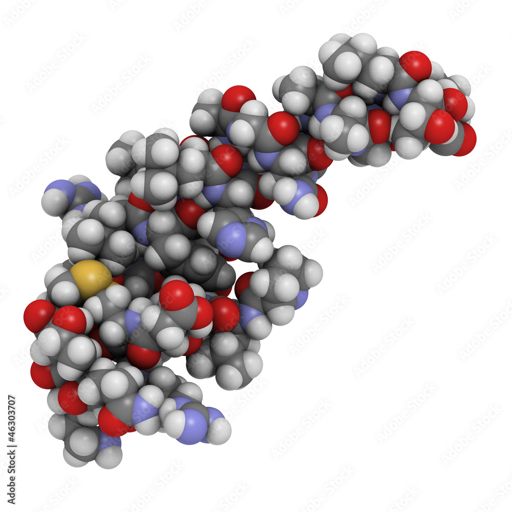 Orexin-A (hypocretin-1) neuropeptide molecule, chemical structur Orexin-A (hypocretin-1) neuropeptide molecule, chemical structur
