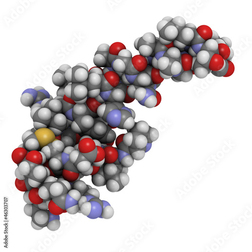 Orexin-A (hypocretin-1) neuropeptide molecule, chemical structur