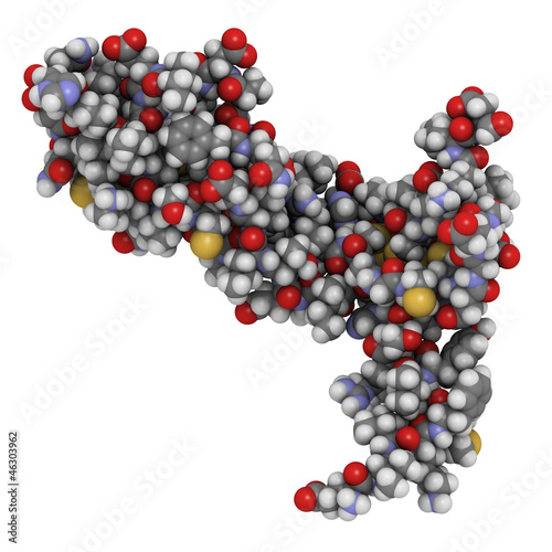 Vascular endothelial growth factor (VEGF-A) molecule, chemical s photo