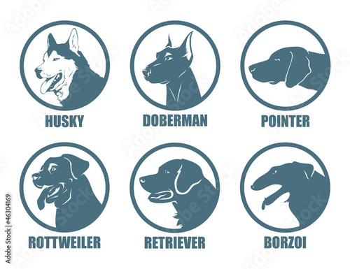 Dog breeds labels - vector illustration