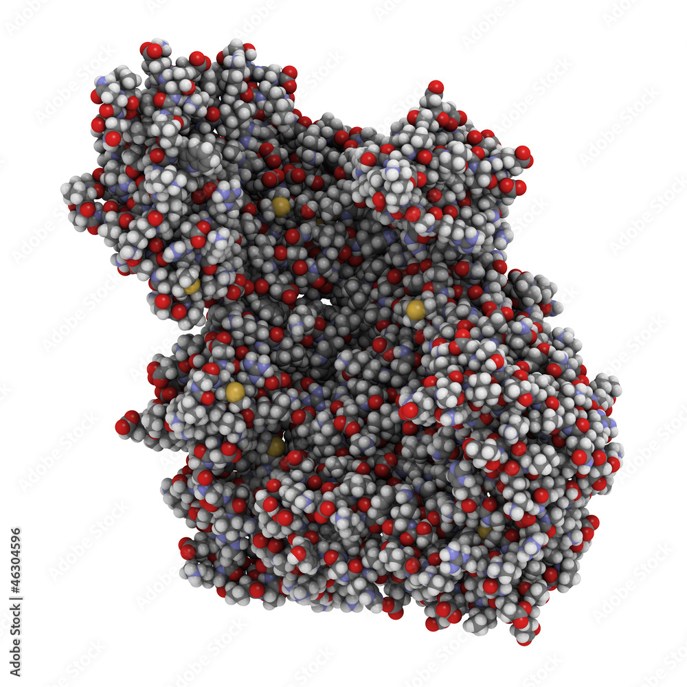 HIV-1 reverse transcriptase enzyme, chemical structure