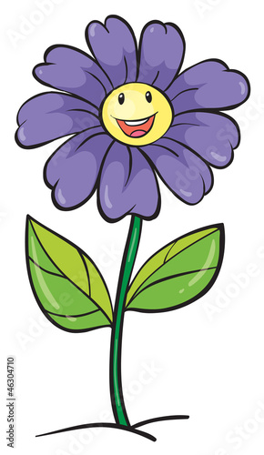 a purple flower