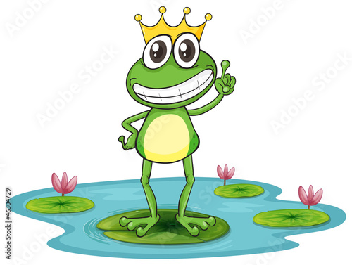 a frog and water