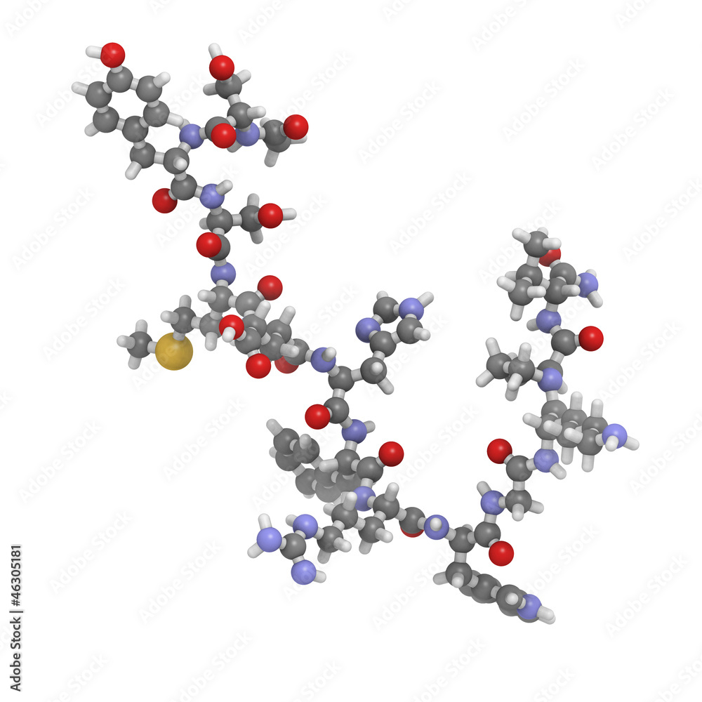 melanotropin (alfa-MSH, melanocyte stimulating hormone), chemica