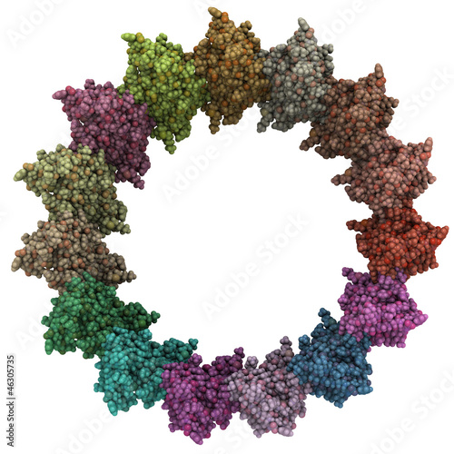 Salmonella needle complex, chemical structure photo