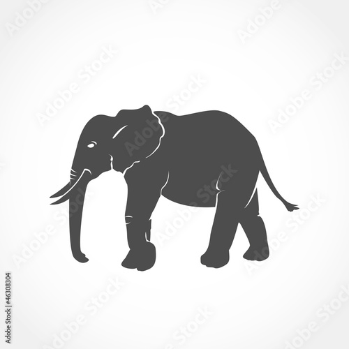   l  phant