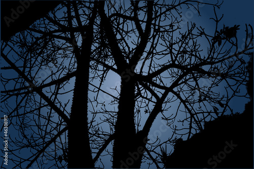 Halloween terrible black forest