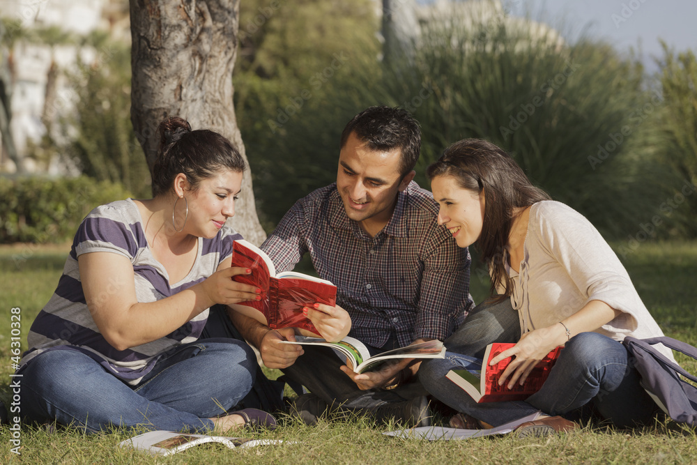 Young students studying outdoors Young students studying outdoors
