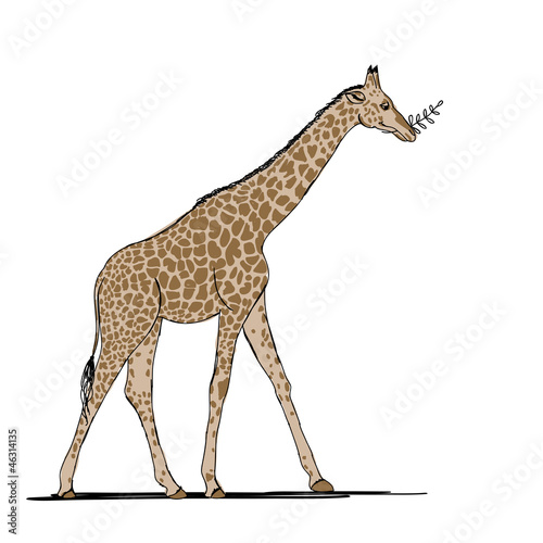 Funny giraffe, sketch for your design
