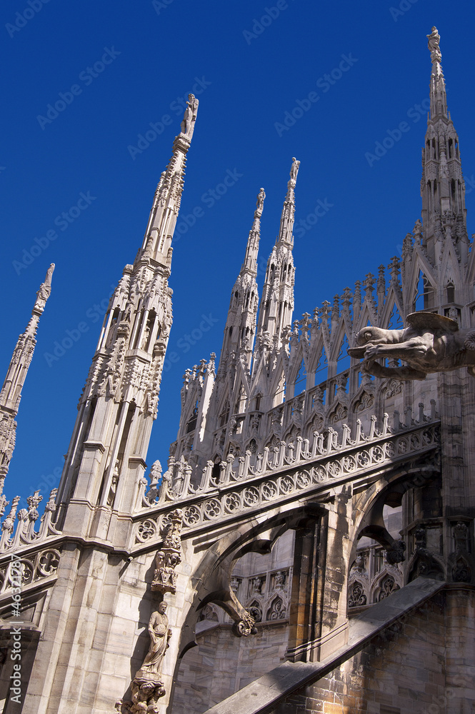Gothic Cathedral of Milan Italy