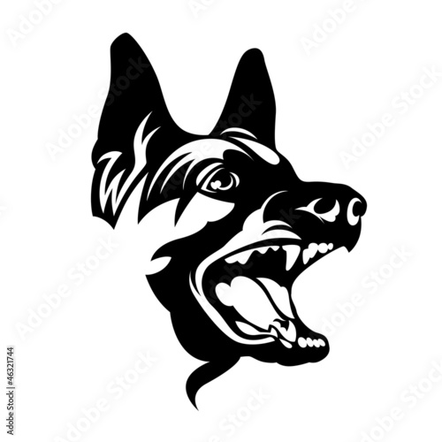 Dog German shepherd