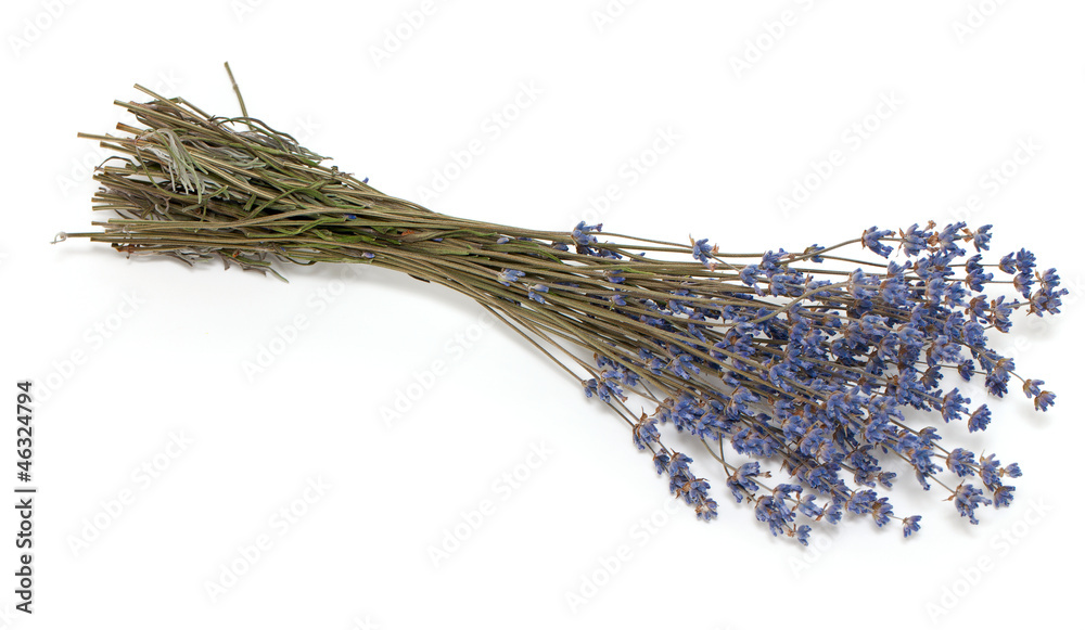 Naklejka premium dried lavender isolated on white background