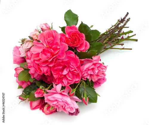 Fototapeta Naklejka Na Ścianę i Meble -  bunch of beautiful pink garden roses
