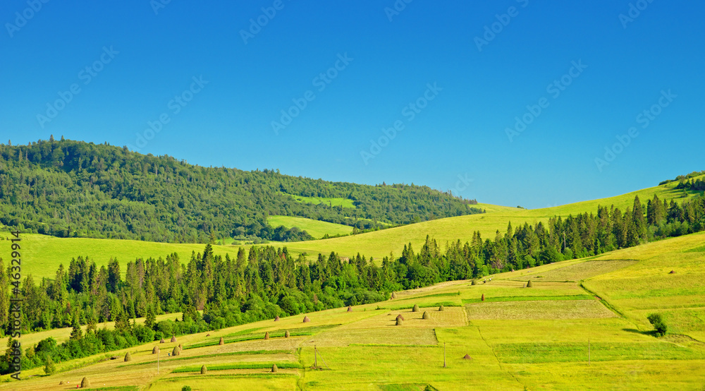 green fields on hills