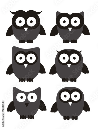 Wallpaper Mural birds icons Torontodigital.ca