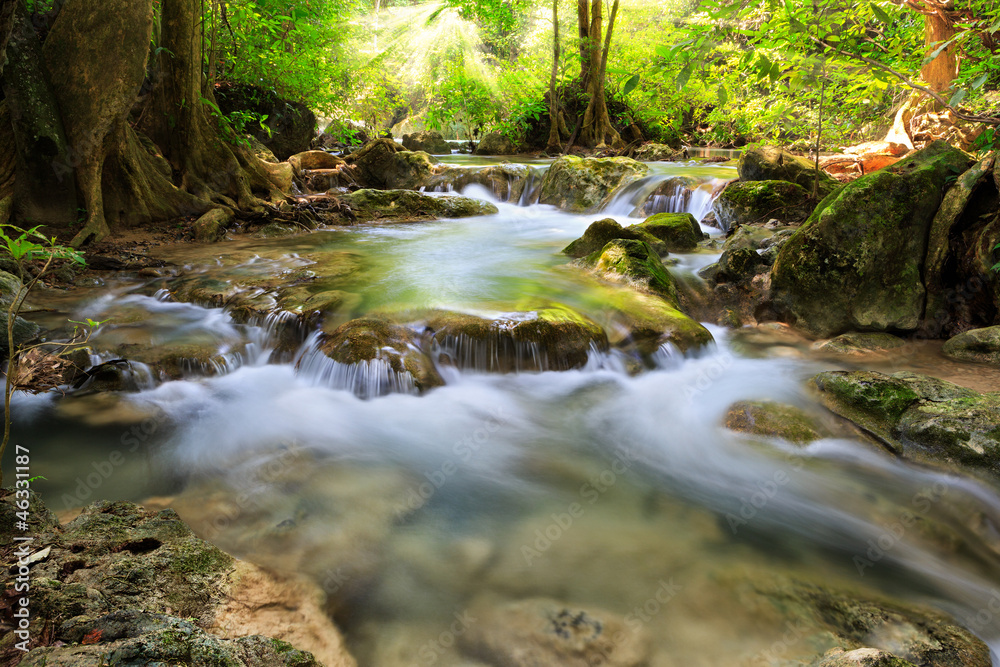 Mountain stream