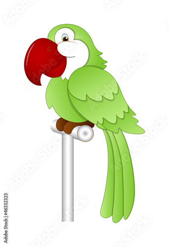 Cartoon Parrot Vector Illustration photo