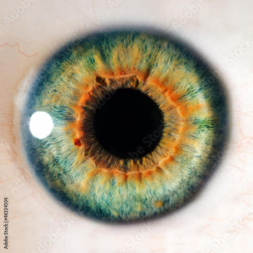 Human eye. macro shooting