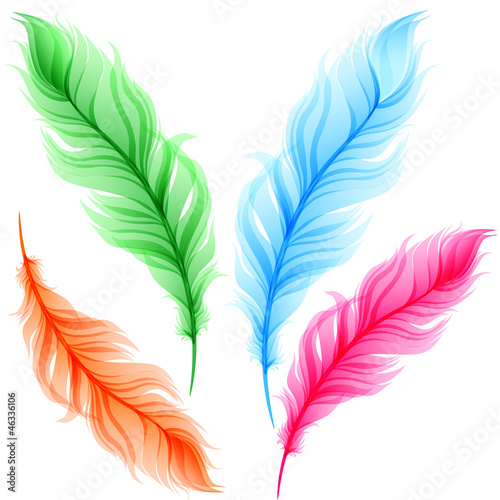 Set of colorful transparent feathers