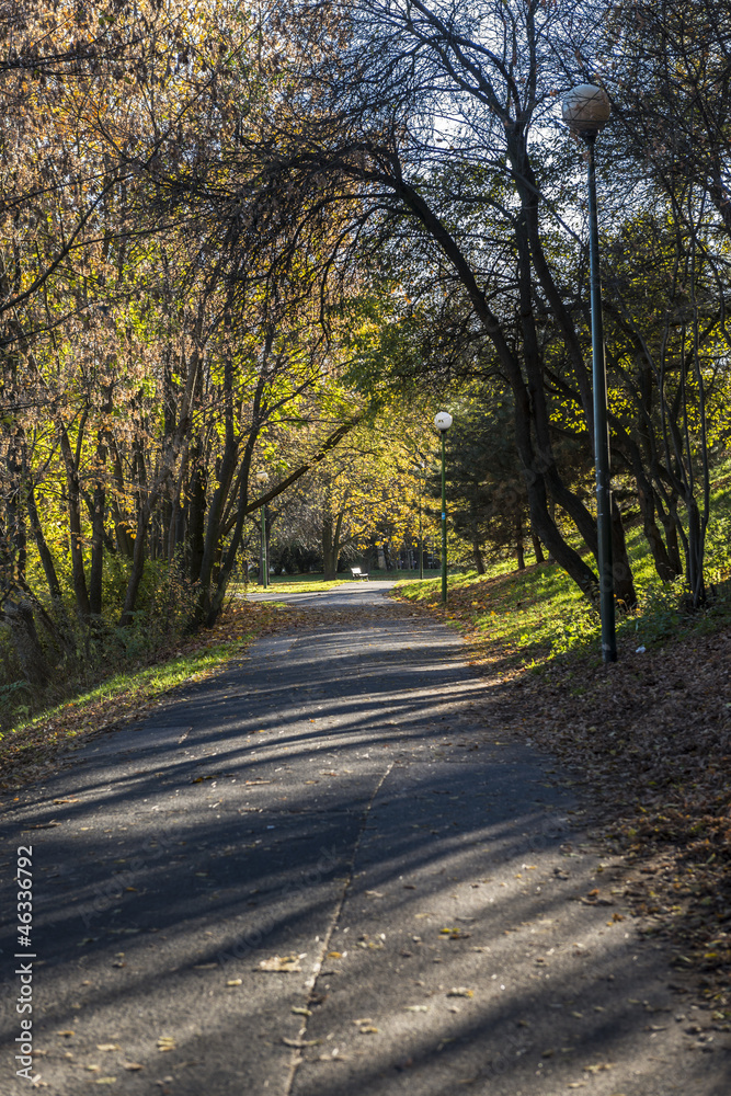 Autumn landscape with pathway