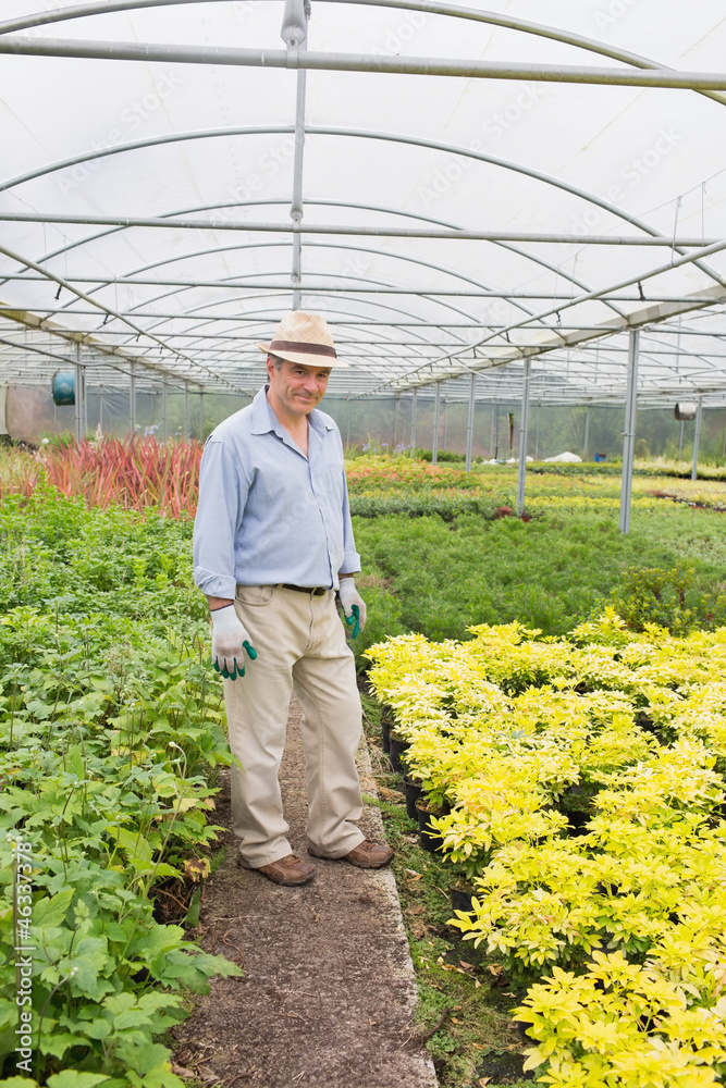 Obraz premium Smiling man standing in greenhouse