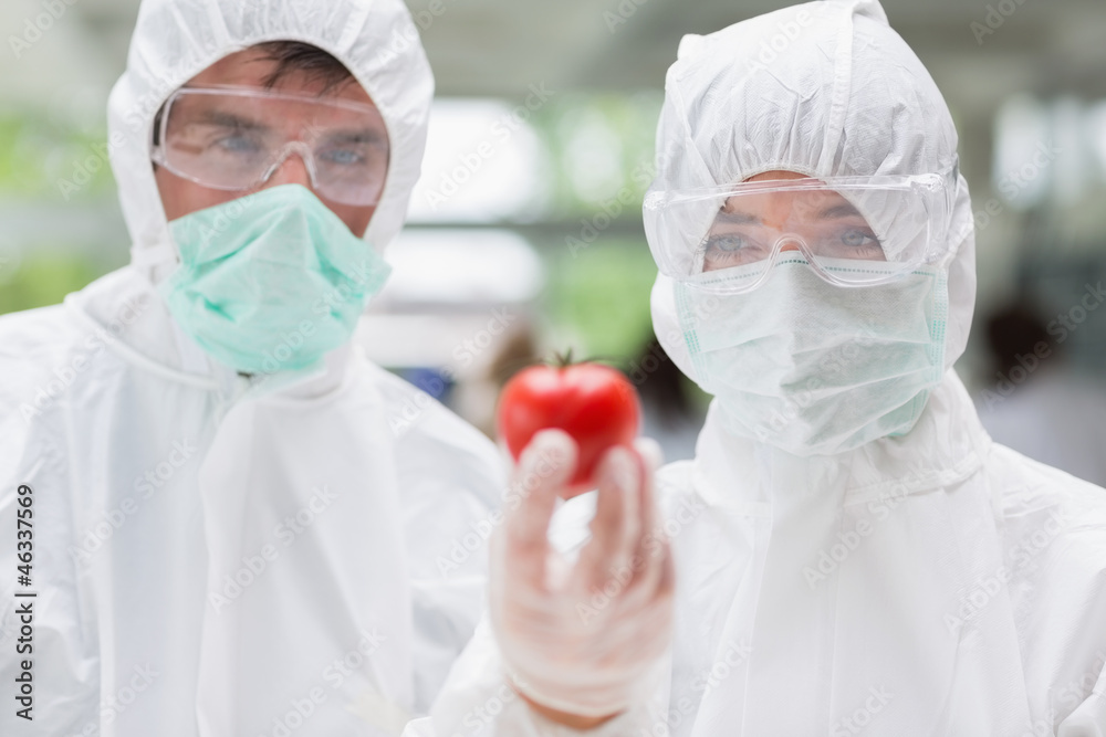 Two students standing at the laboratory holding a tomato Two students standing at the laboratory holding a tomato