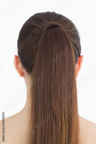 Woman having long brown hair