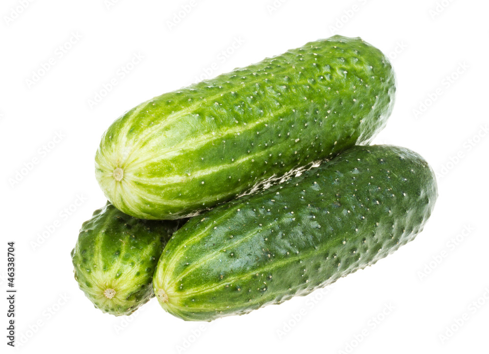Healthy food. The green cucumbers isolated on white background Healthy food. The green cucumbers isolated on white background