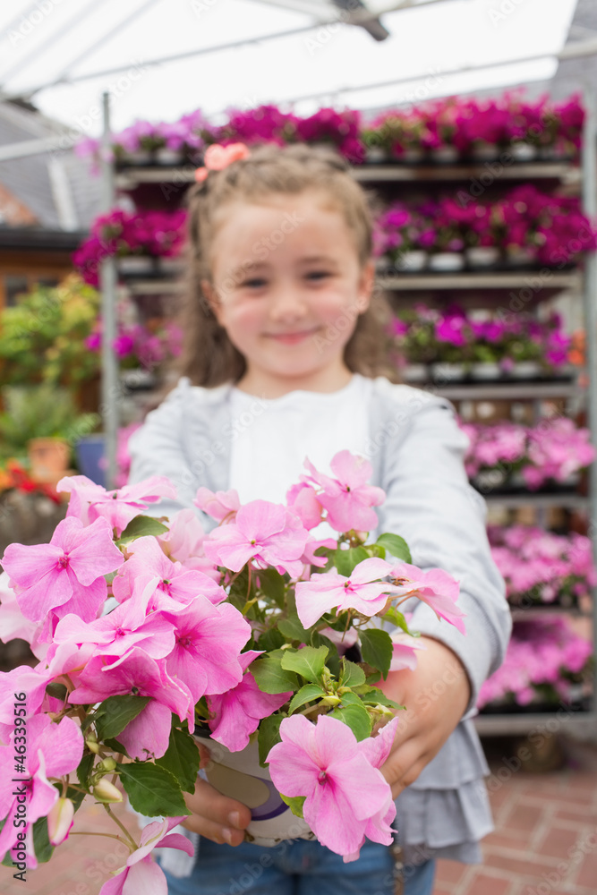 Little girl showing pink flowers