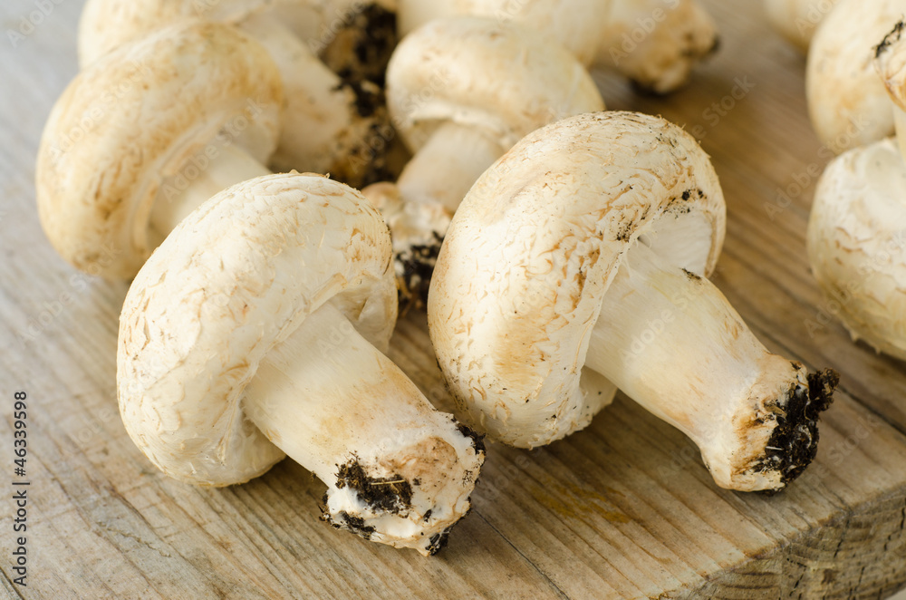 Funghi champignon su tavolo in legno invecchiato Funghi champignon su tavolo in legno invecchiato