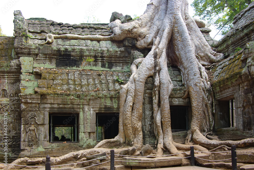 Ruins of ancient temple. Angkor wat, Cambodia