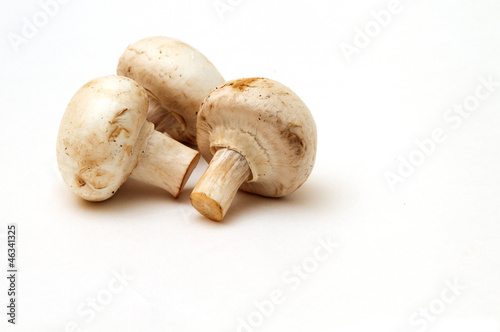 three mushroom shot on white background