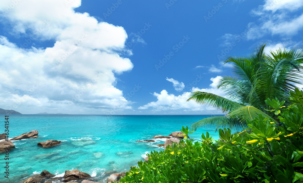 sea and tropical plants on La Digue island in Seychelles