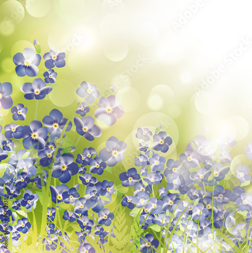 Forget Me Not Flowers Over Bright Background