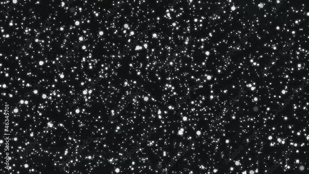 stelle