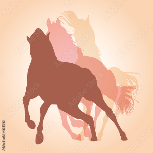 horses