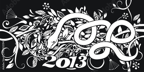 Chinese Year of the Snake