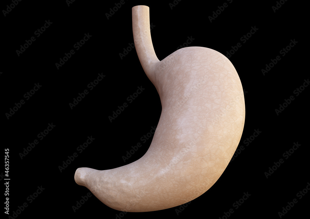 Magen Anatomie schwarzer Hintergrund Stock Illustration | Adobe Stock