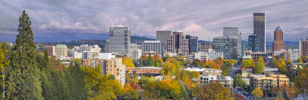 Obraz premium Portland Oregon Downtown Skyline with Mt Hood