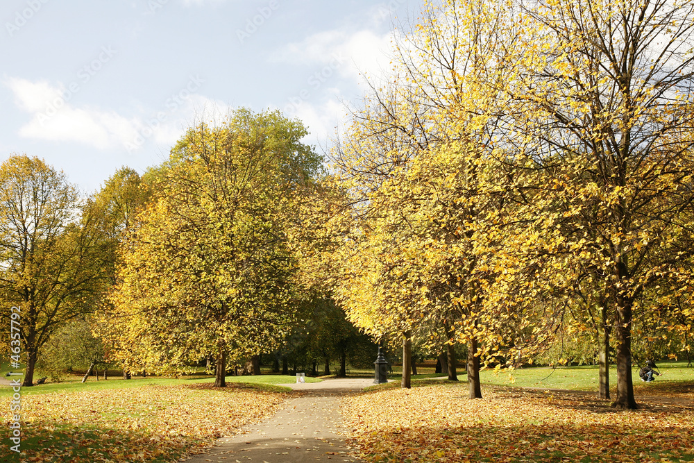 London Autumn Colors